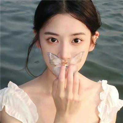 晴晚之林